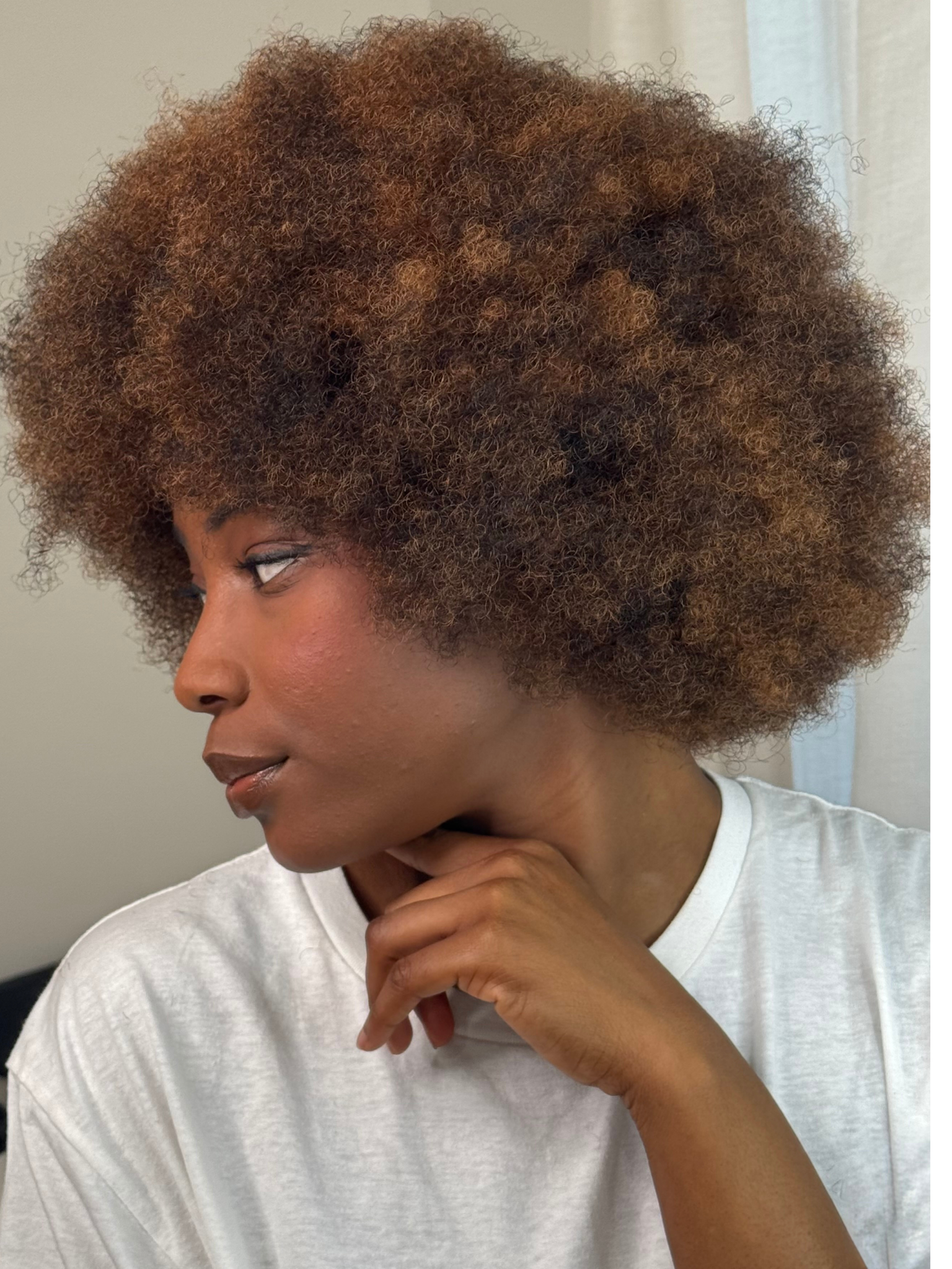 Perruque Afro Babe - Classique N°T2/30