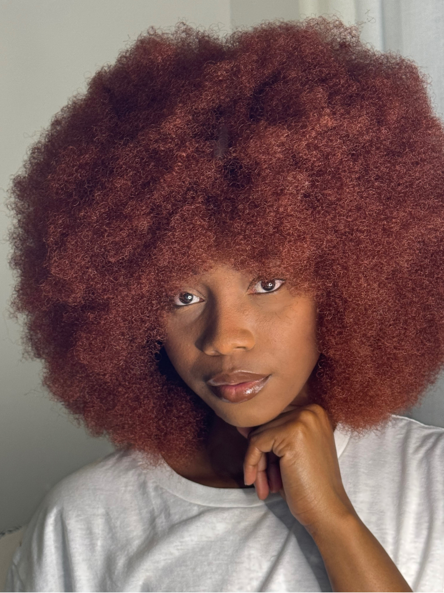 Perruque Afro Babe - Majestueuse N°350