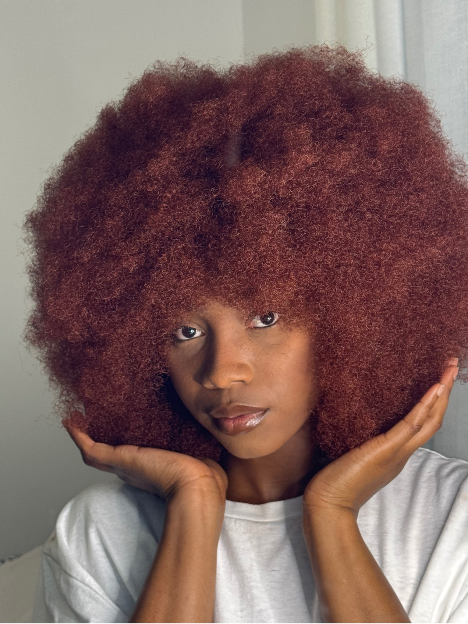 Perruque Afro Babe - Majestueuse N°350