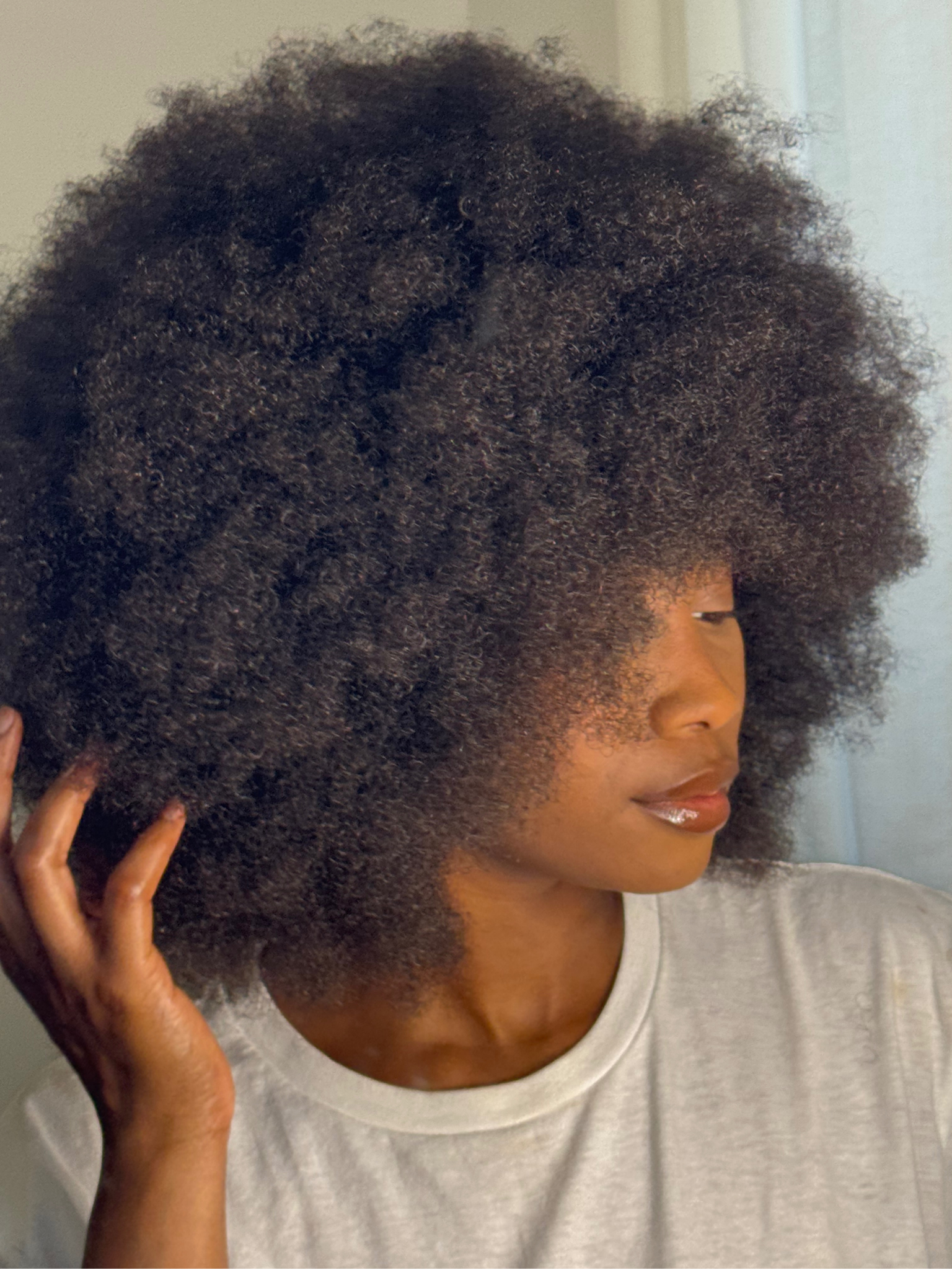 Perruque Afro Babe - Majestieuse N°4