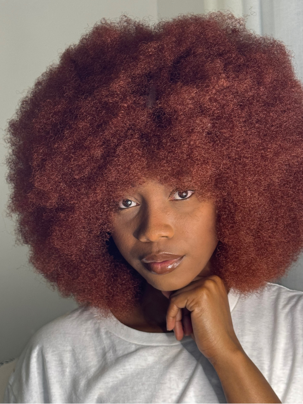 Perruque Afro Babe - Majestueuse N°350