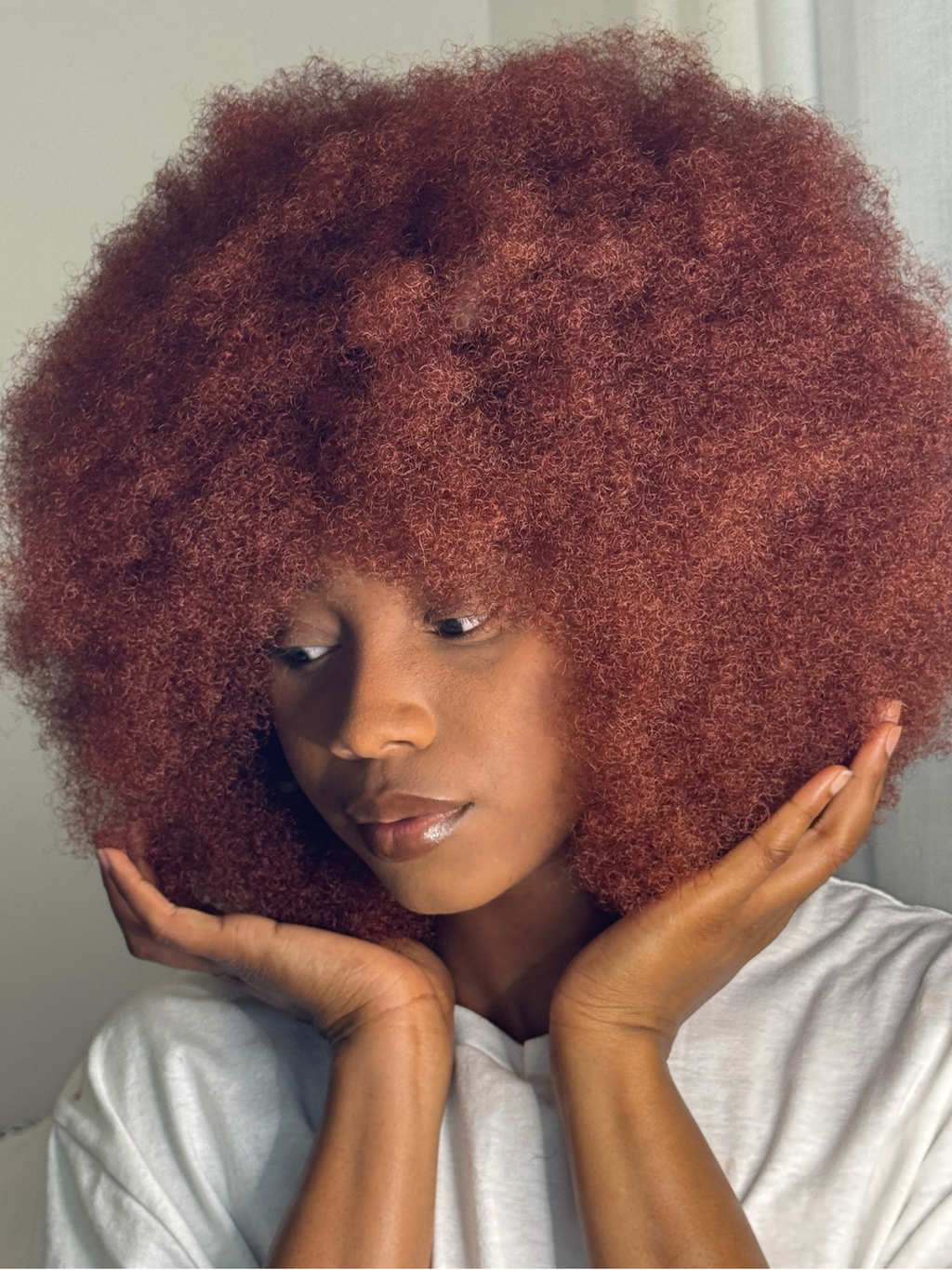 Perruque Afro Babe - Majestueuse N°350