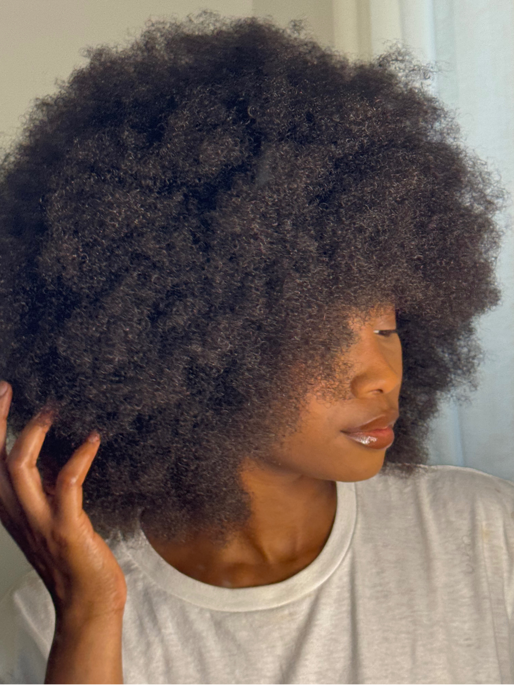 Perruque Afro Babe - Majestieuse N°4